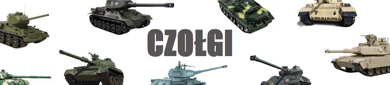 Strona Piotra Szymochy